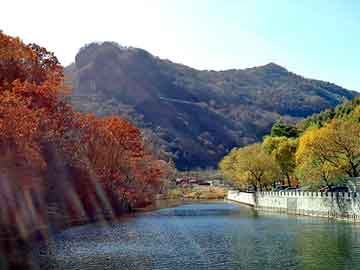 新澳天天开奖资料大全旅游团，酒店彩绘